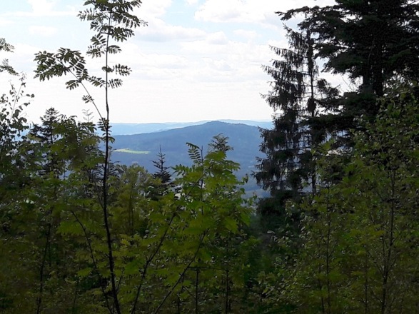 Blick vom Weg zum Haidstein