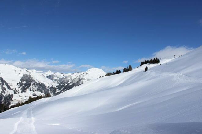 Pulverschnee_in_Sonntag-Stein_(c)_Wiebke_Meyer_-_A