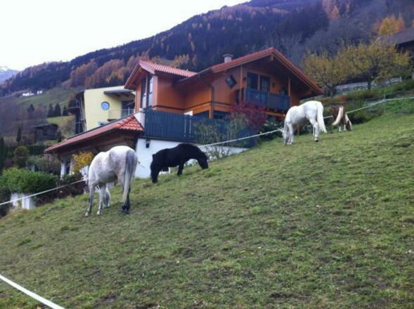 Haus