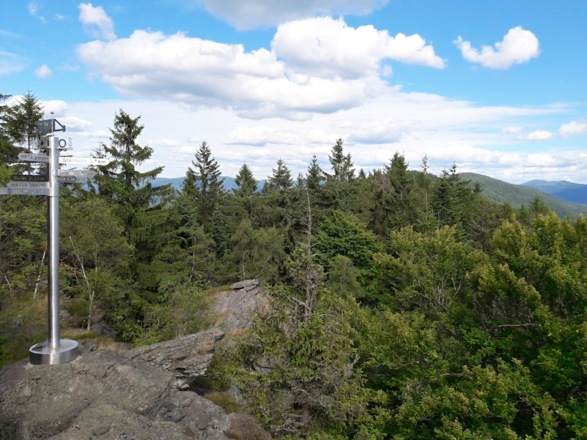 Schilderbaum mit Blick zum Großen Arber
