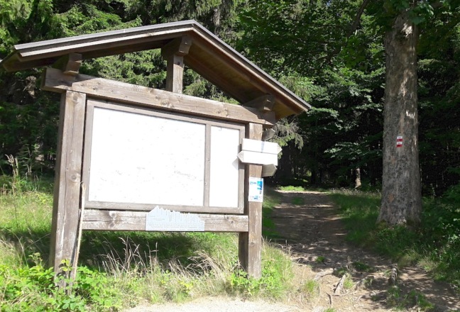 Wandertafel am Waldrand - rechts der Weg