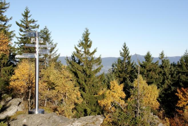 Schilderbaum mit Blick zum Osser