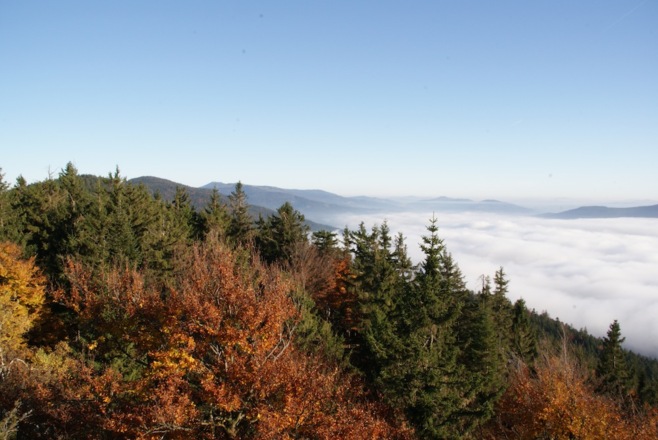 Blick zum Großen Arber
