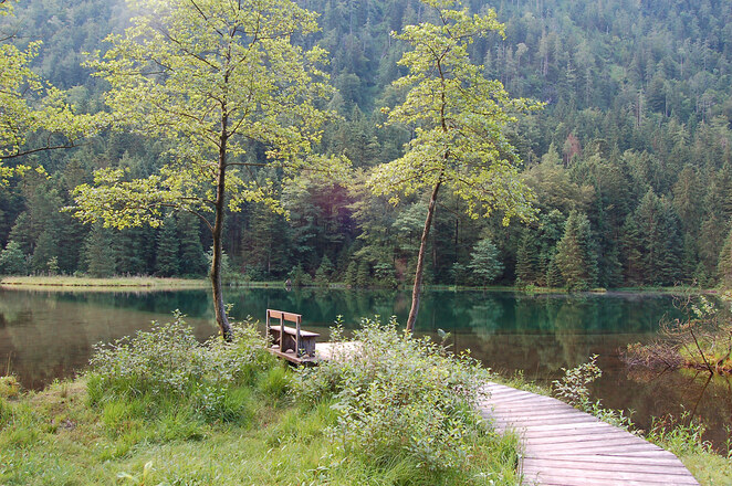 Erholung pur am Falkensee