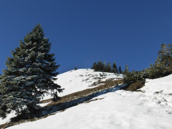 Gipfelaufbau Jochberg