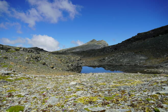 im  Hintergrund die LIzumer Sonnenspitze