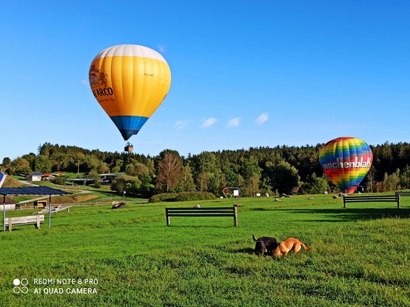 Erlebnispark Voglsam Ballonfahrten