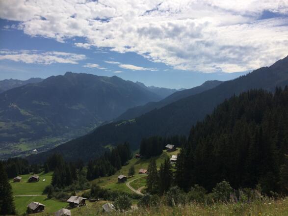 Maisäßlandschaft Matschwitz