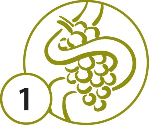 Logo der Mainschleifen-Tour