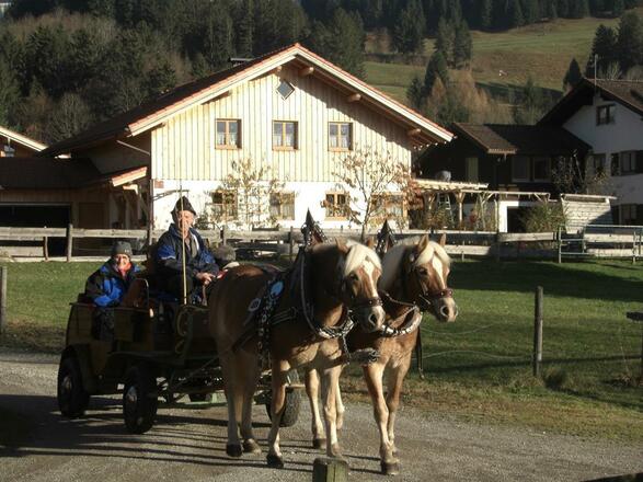 Kutschfahrt HinangCIMG0872