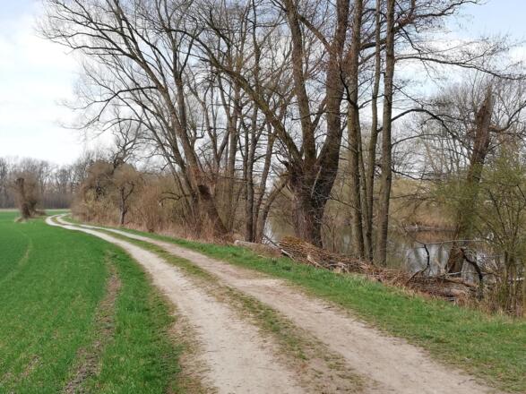 Amperkanal zwischen Inkofen und Haag