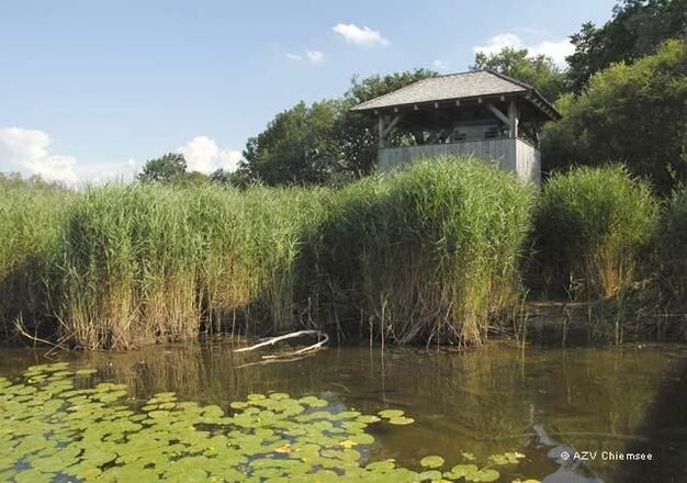Beobachtungsturm vom Wasser aus.