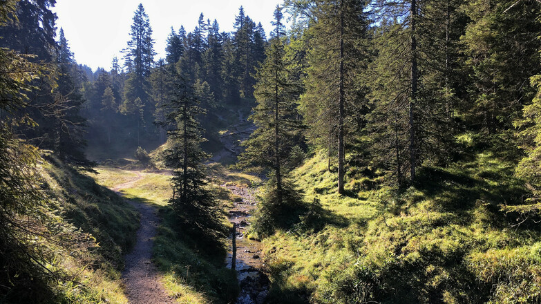 Leichter Aufstieg entlang des Kaltwassergrabens