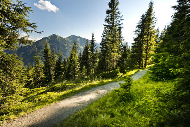 Wandern am Reiterkogel