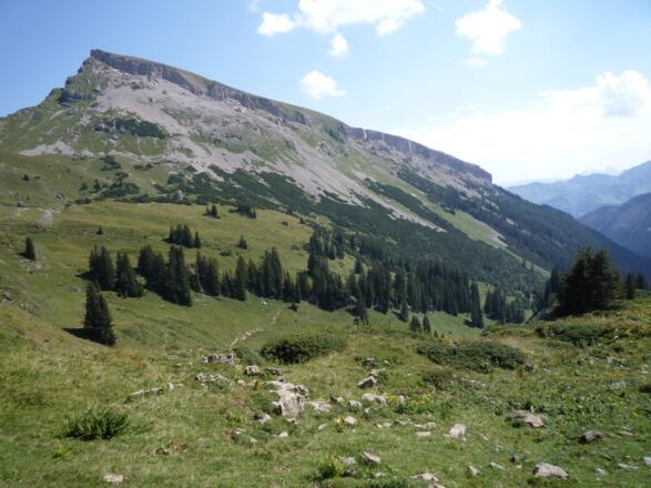 Kantig: Dominant überragt der Hohe Ifen die Kleinwalsertaler Alpenwiesen.