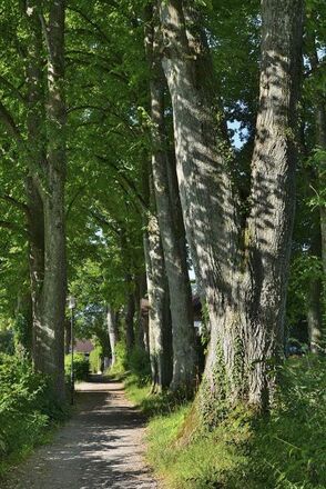 Krottmüllerallee