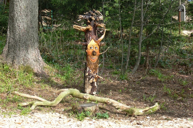 Holzwurzel mit Gesicht