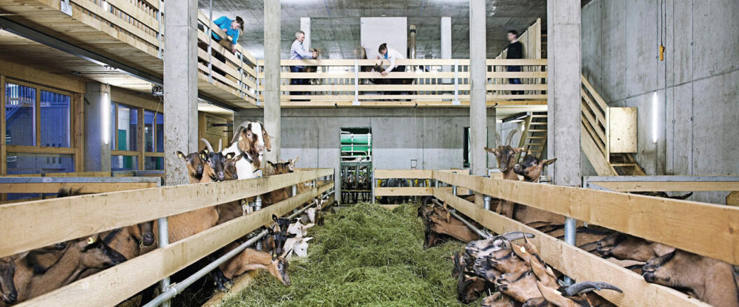 Stall Metzler naturhautnah