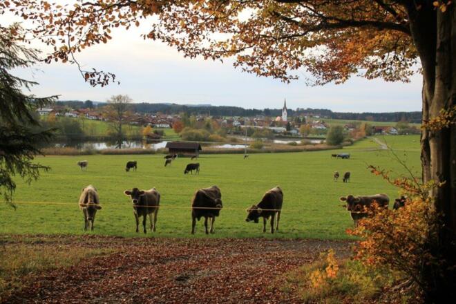 Blick auf die Walder Weiher