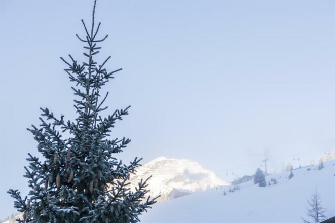 Blick zum Kriegerhorn