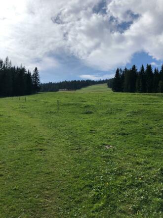 Blick zur Moosalm