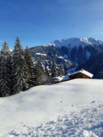 Nüggili´s Maisäß