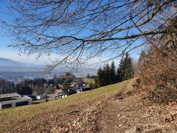 Ausblick von Dornbirn Watzenegg