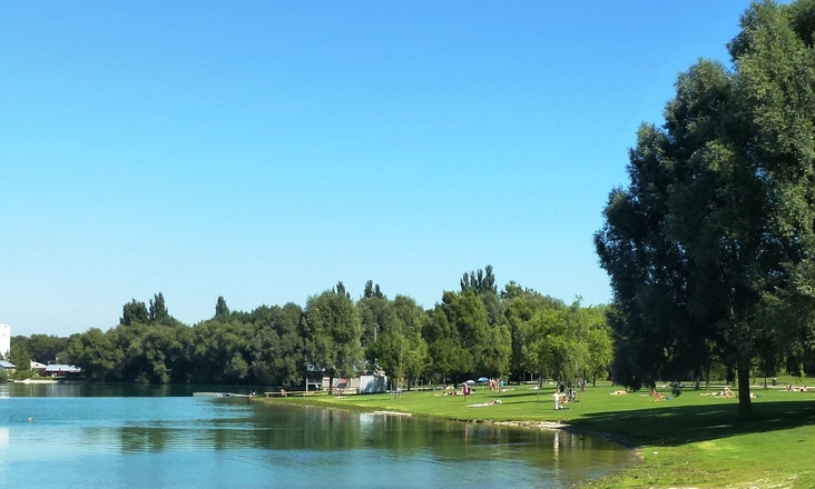 Kronthaler Weiher