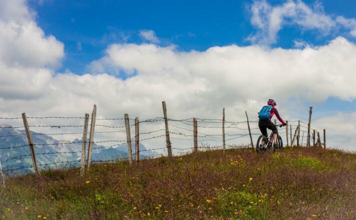 DSC03183Rob Patsch Kopie