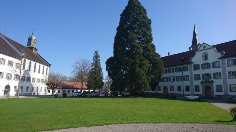 Kloster Wettingen-Mehrerau bei Bregenz