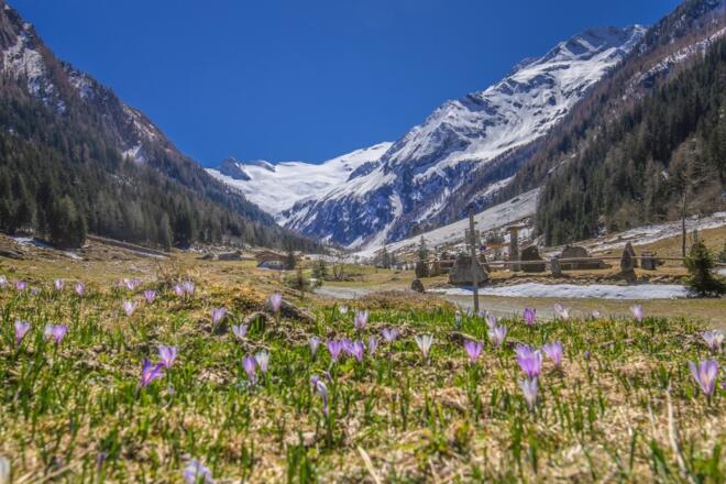 Enzianhütte im Habachtal