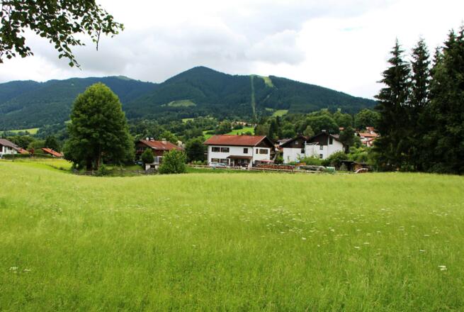 Wiesen in Bad Kohlgrub