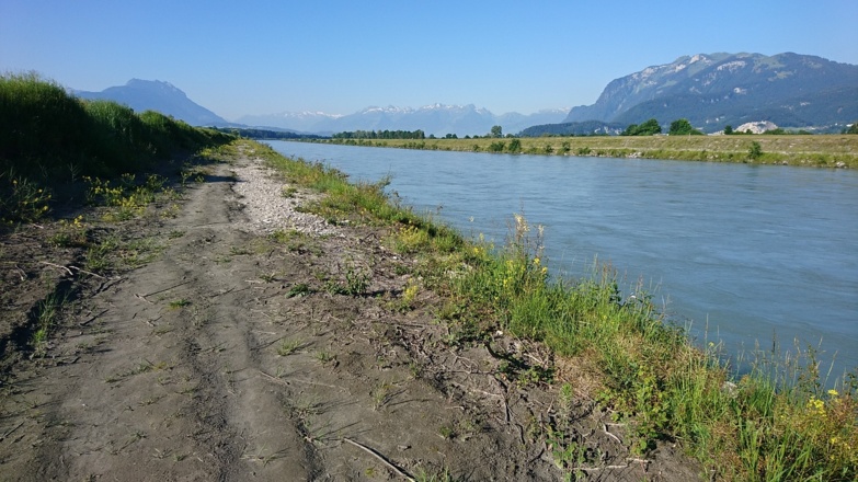 Rhein, im rechten Hintergrund Hoher Kasten