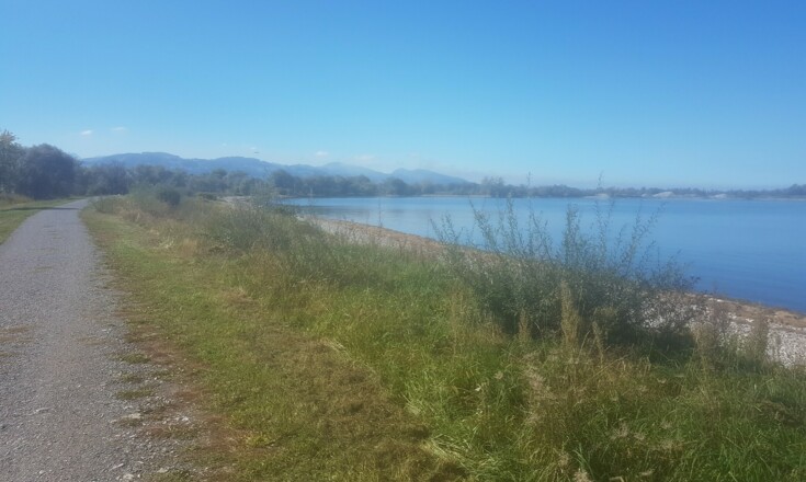 Wanderweg am Bodensee bei Bregenz