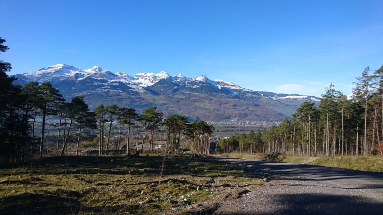 Zwischen Schaan und Vaduz, Sicht in die Schweizer Berge