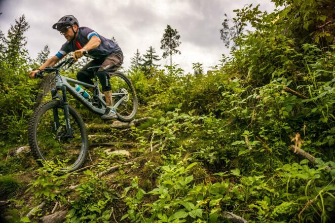 20190810-DSC07168 Kopie