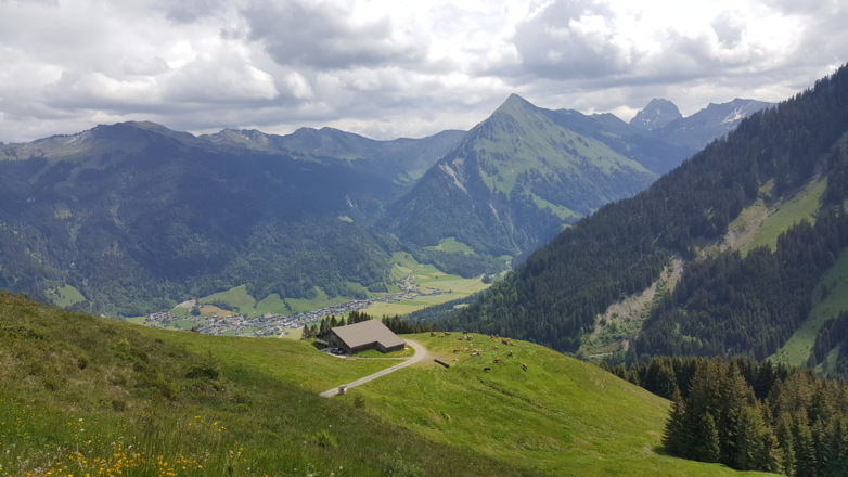 Blick auf die Brendler Alpe