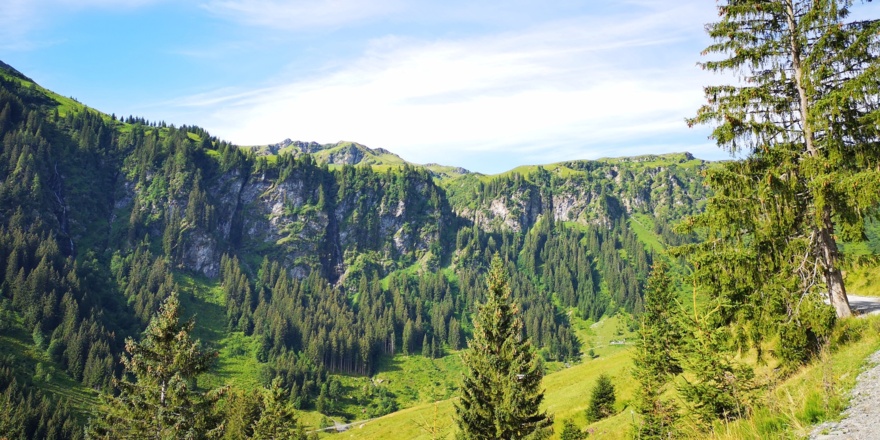 Saalwände