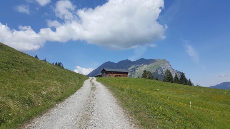 Die Godlachalpe mit der Kanisfluh im Hintergrund