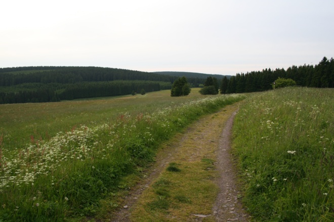 Rennsteig hinter Neustadt