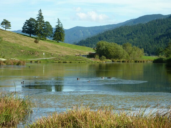 Das Griessener Moor bei Hochfilzen.