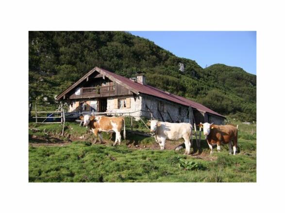 Rossalm - © Chiemsee-Alpenland Tourismus