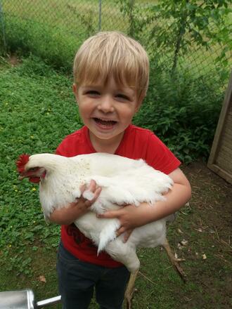 Gästehaus Schneider