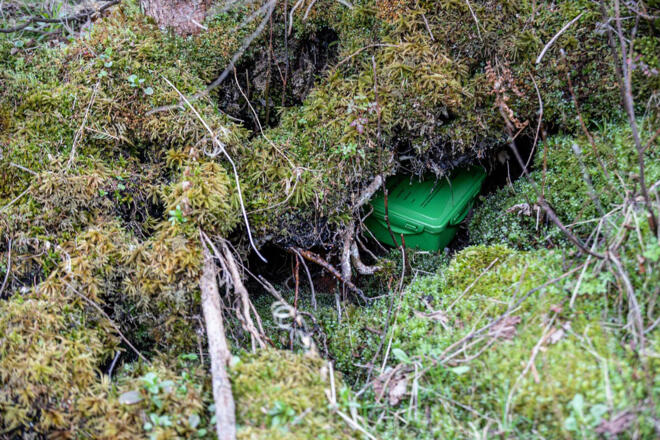 Geocache Versteck unter dem Moos am Flussrand