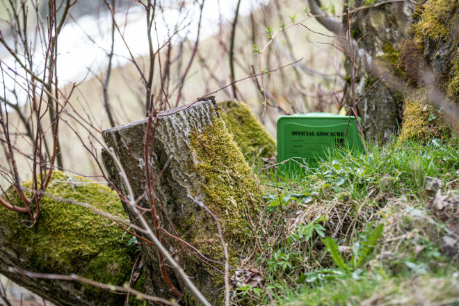 Geocache Versteck im Wald