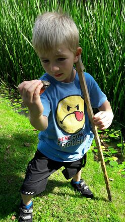 Gästehaus Schneider