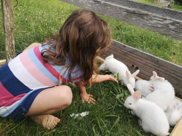 Gästehaus Schneider