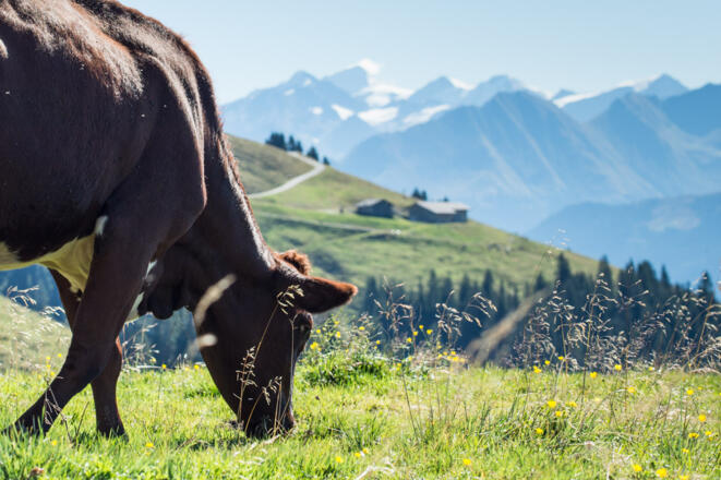 malerische Mühlbachtal