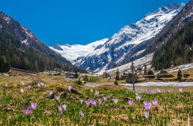 Enzianhütte im Tal der Smaragde Habach