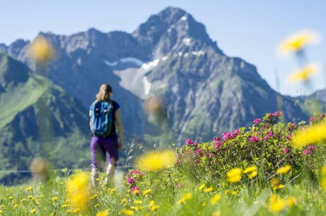 Alpenrosen Wandern Widderstein @Dominik Berchtold